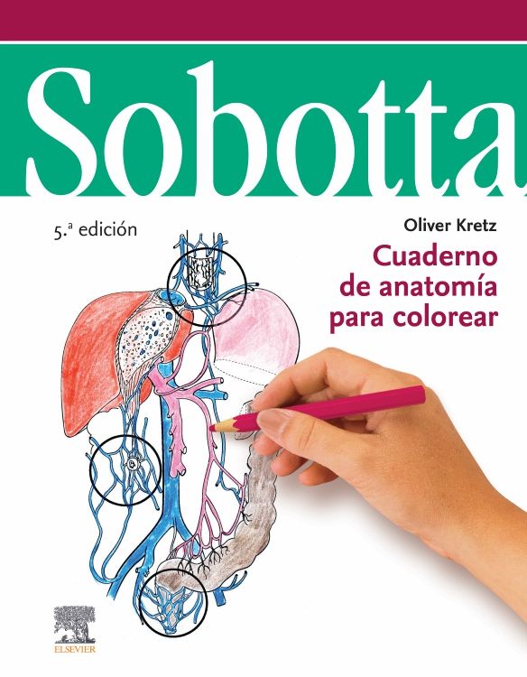 Sobotta Cuaderno De Anatom A Para Colorear En Laleo