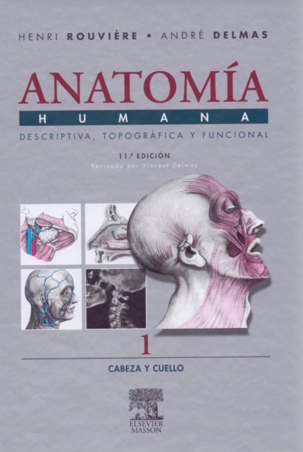 Introduccion A La Anatomia Anatomia Topografica Y Anatomia Descriptiva