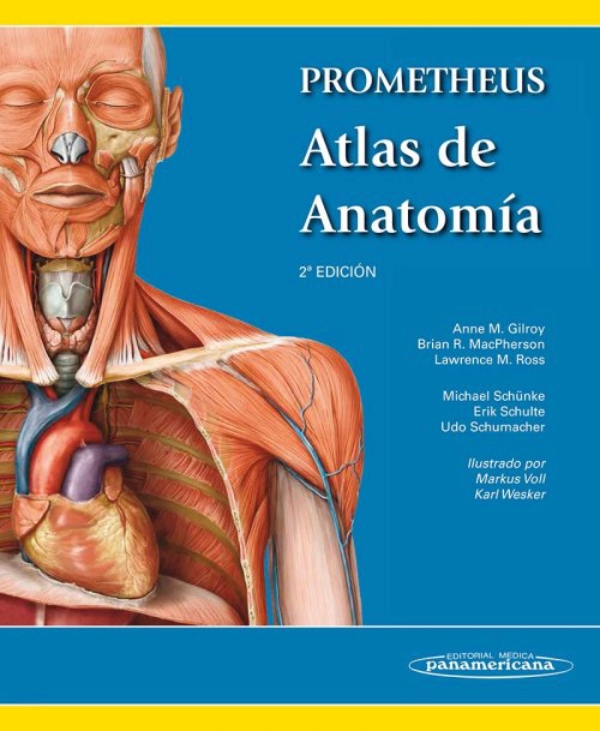 Prometheus Atlas de Anatomía en LALEO