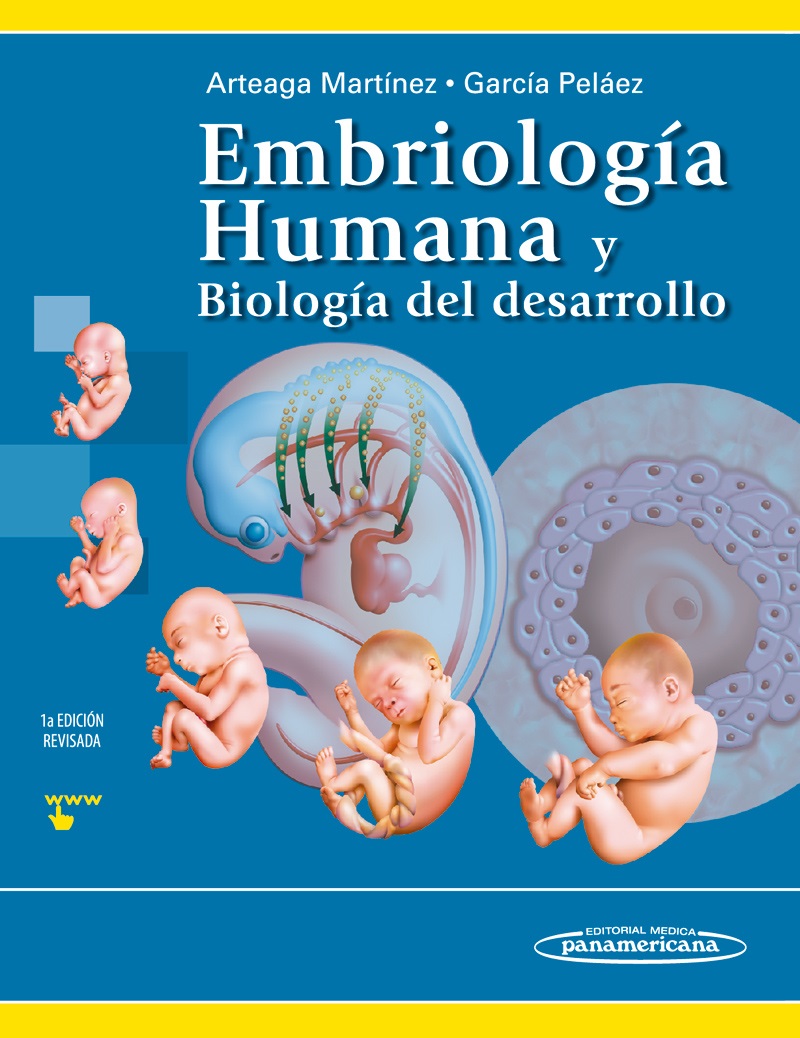 Embriolog A Humana Y Biolog A Del Desarrollo En Laleo