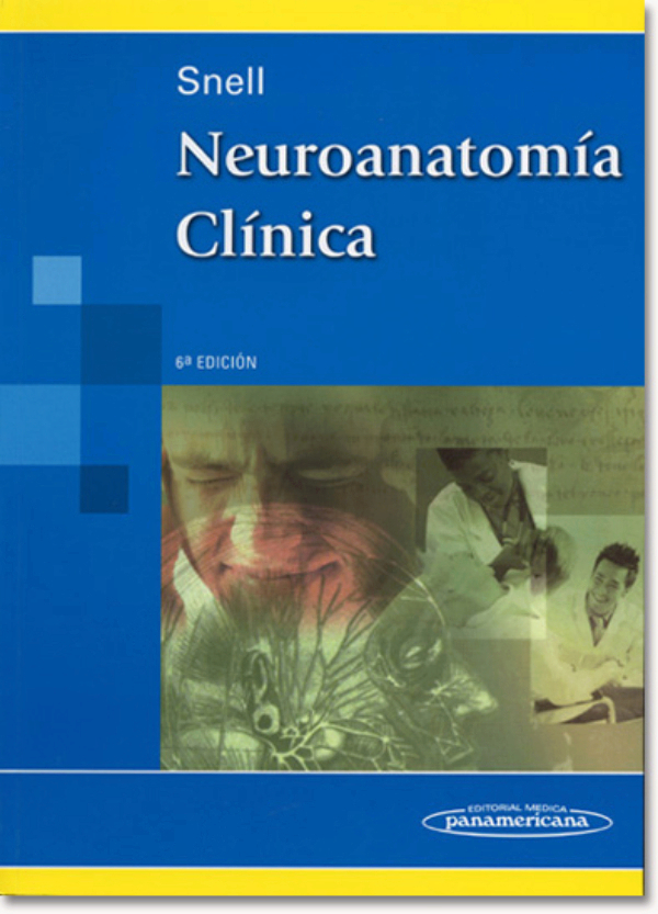 Neuroanatomía clínica en LALEO