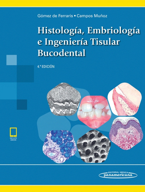 Histologia Embriologia E Ingenieria Tisular Bucodental Ra Edicion My XXX Hot Girl