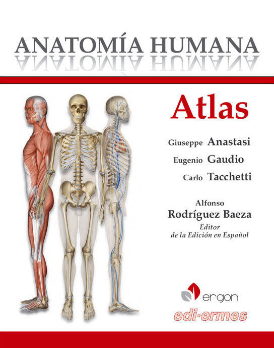 Atlas De Anatomía Humana En Laleo