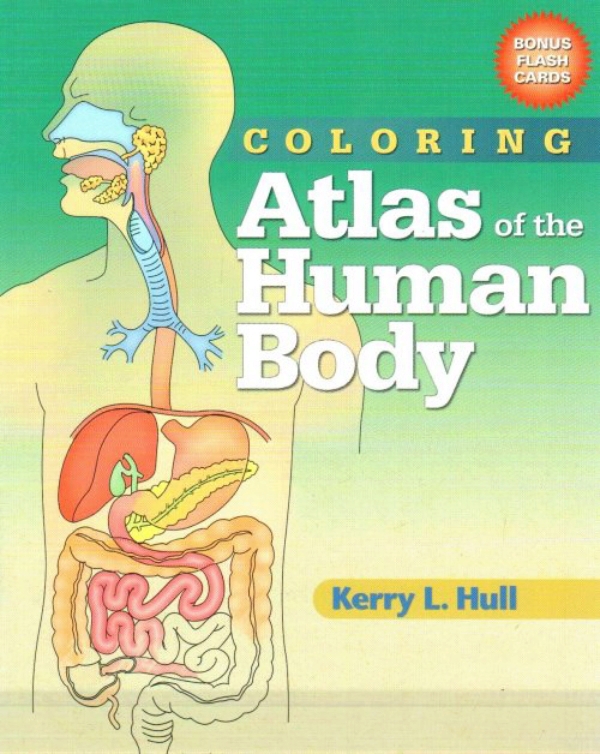 Coloring. Atlas of the Human Body en LALEO