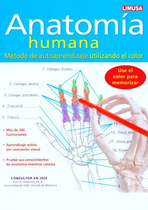 Albertine. Anatomía Humana En LALEO