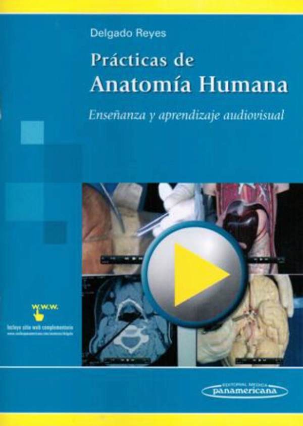 Prácticas De Anatomía Humana En Laleo
