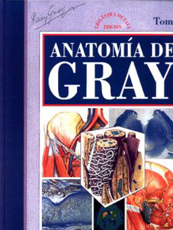 Anatomía De Gray 2 Vols En Laleo