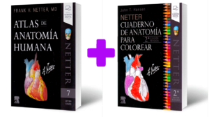 Netter. Cuaderno de anatomía para colorear en LALEO