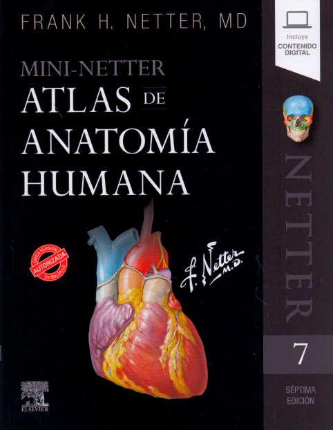 Featured image of post Mini Netter Atlas De Anatomia Humana 7Ma Edici n Atlas de anatom a humana autor es