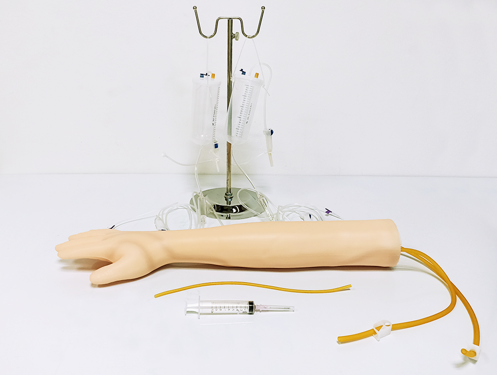 Modelo de inyección de punción venosa en el brazo 56 cm en LALEO