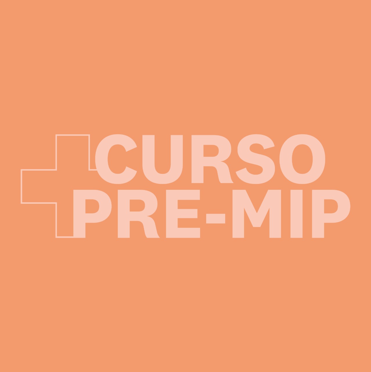 Curso PreMIP en LALEO