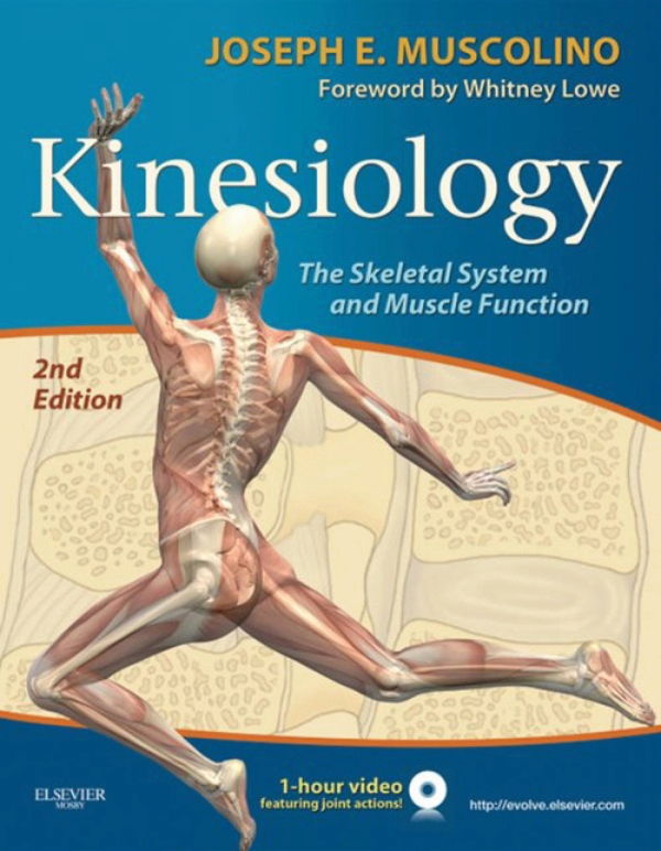 kinesiology research articles