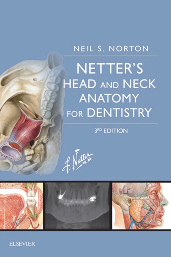 Netters Head And Neck Anatomy For Dentistry Ebook En Laleo