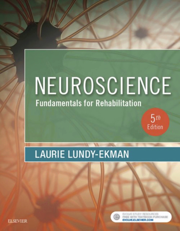 incognito neuroscience book