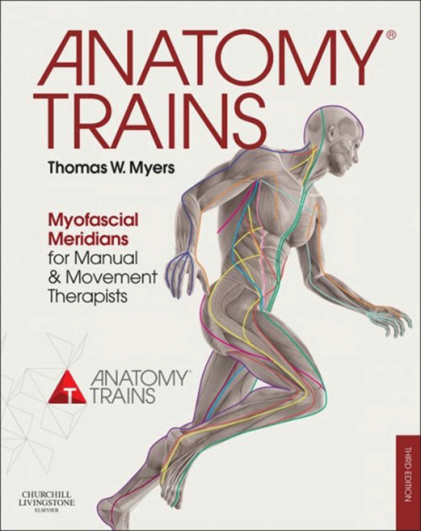 Anatomy Trains (ebook) en LALEO