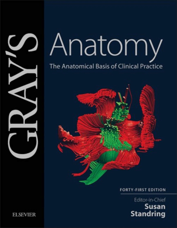 gray-s-anatomy-ebook-en-laleo