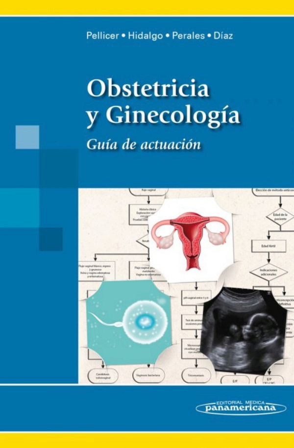 Obstetricia Y Ginecología Guía De Actuación En Laleo 5896