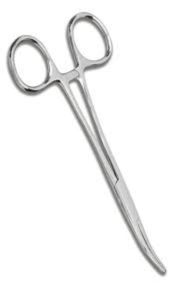 Pinza Emostatica Kelly Curva 5,5″ – Strumento Chirurgico Veterinario E Dentale Medentra - Foto 2