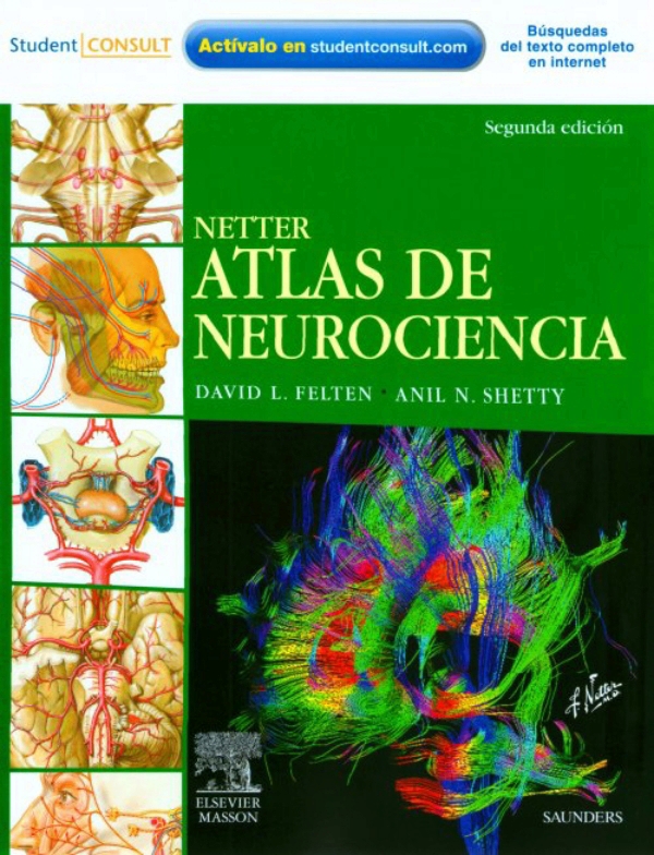 NETTER. Atlas de Neurociencia en LALEO