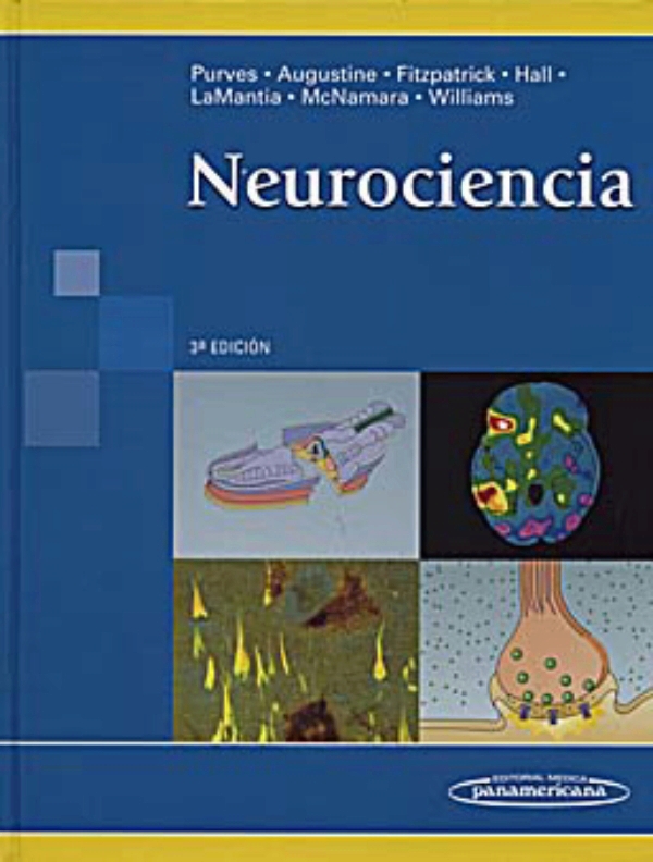 Neurociencia En LALEO