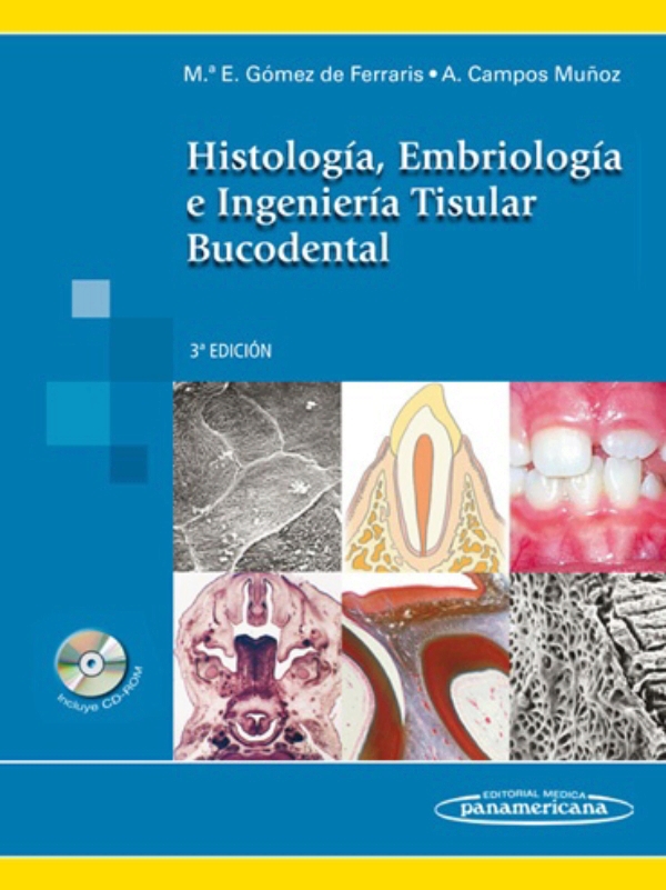 Histolog A Y Embriolog A Bucodental En Laleo