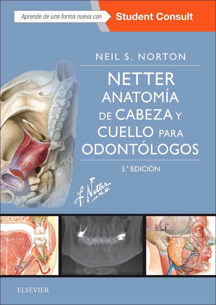 Netter Anatom A De Cabeza Y Cuello Para Odont Logos En Laleo