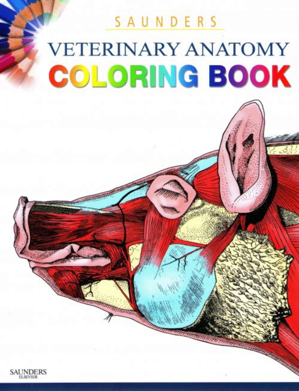 Download Veterinary Anatomy Coloring Book en LALEO