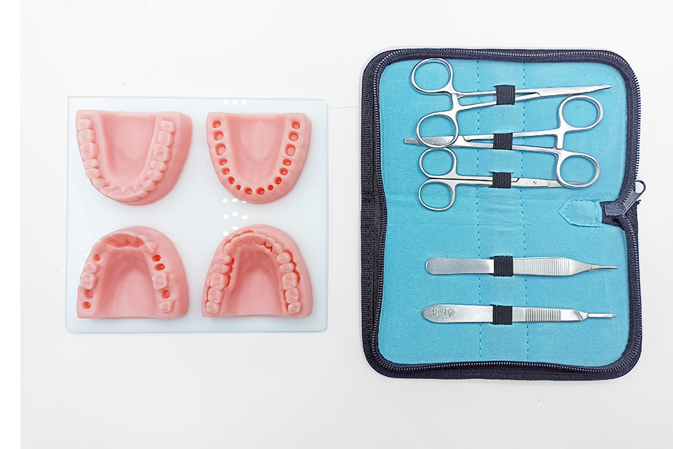  YOUYA DENTAL Kit de práctica de sutura, kit de sutura oral para  entrenamiento de sutura para médicos dentales, 14 piezas que incluyen  silicona blanda biónica oral múltiples tipos de heridas orales